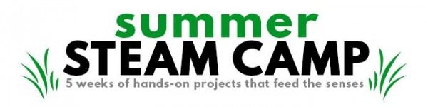 Steam Summer Camp