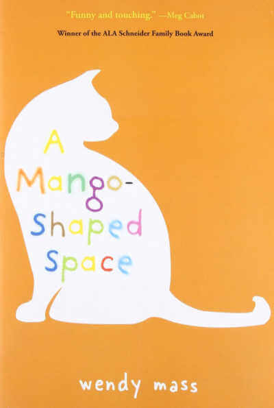 A Mango Shaped Space, book cover.