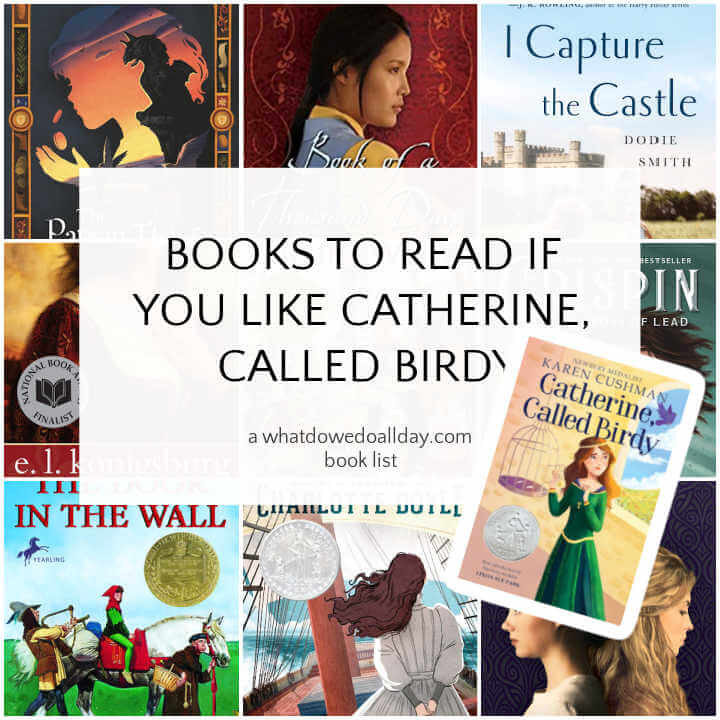 Collage of books like Catherine Called Birdy