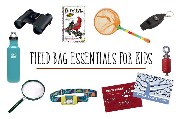 What to put in a child's field bag. 