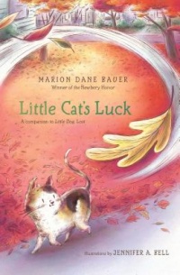 Little Cat's Luck book cover