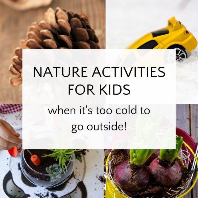 ideas for indoor nature activities with pinecone, snow, indoor planting