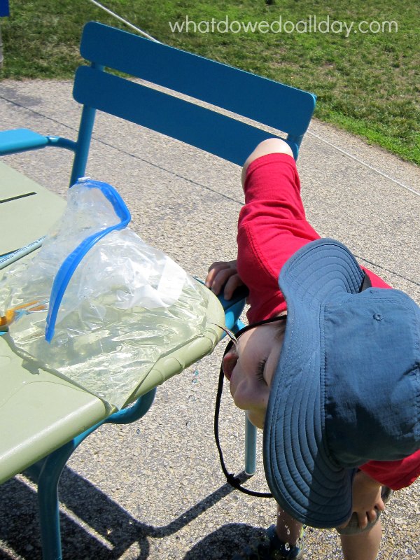 Bag drinking fountain science experiment. 