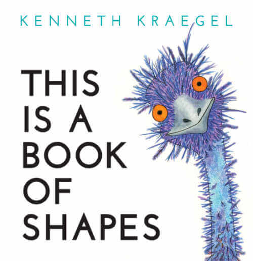 This Is a Book of Shapes math preschool picture book