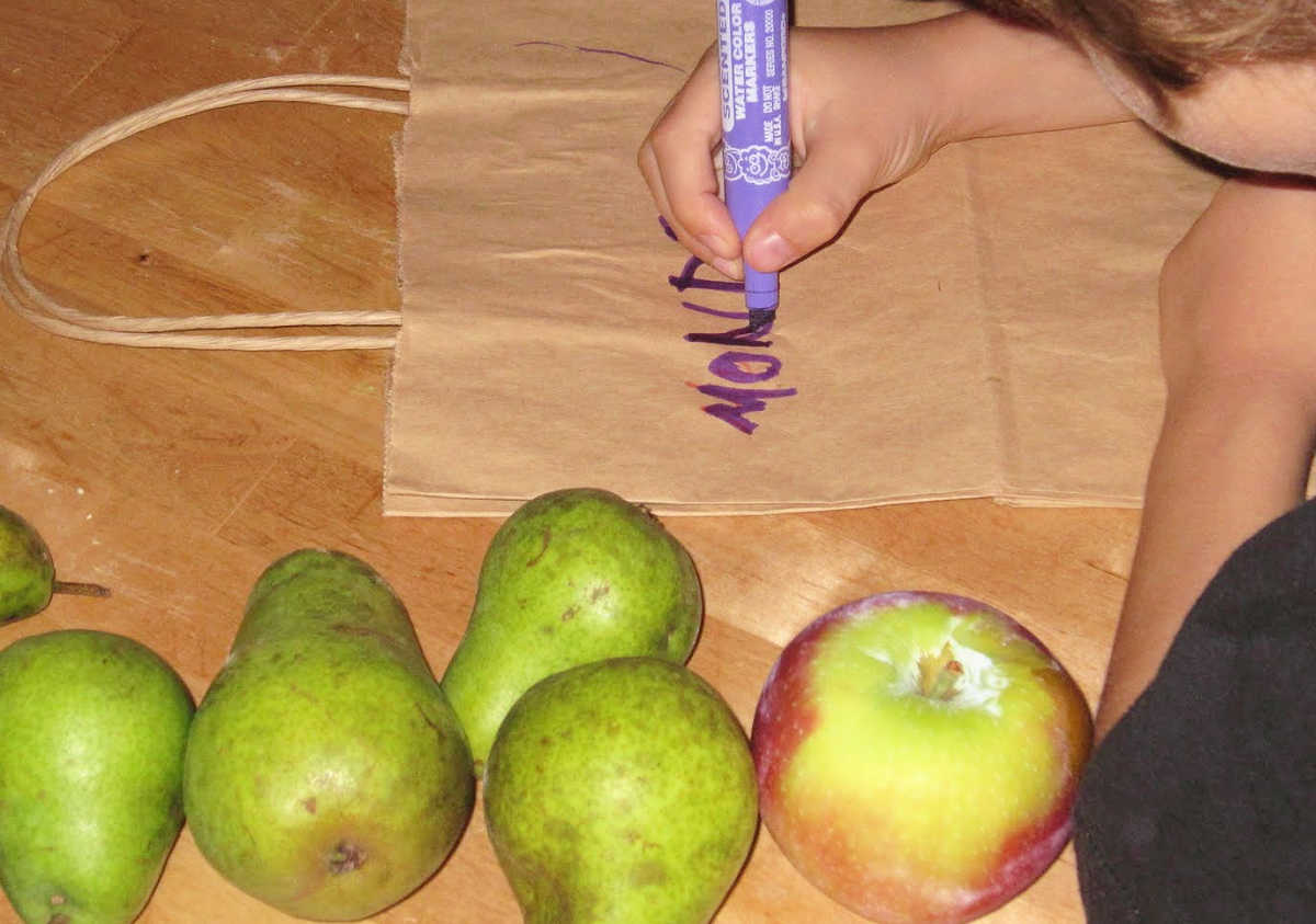 Child writing with purple pen on paper bag next to pears and apple in preparation for fruit ripening experiment