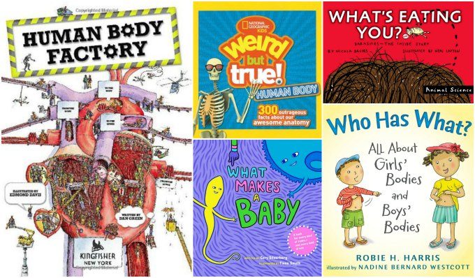Human biology picture books for kids