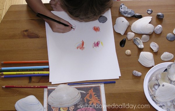 Seashell drawing project for kids with watercolor pencils