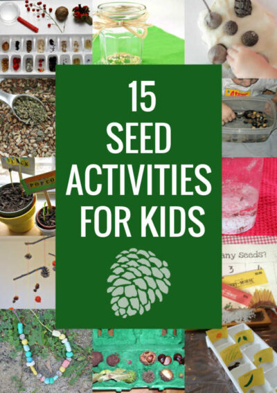 collection of seed activities for kids