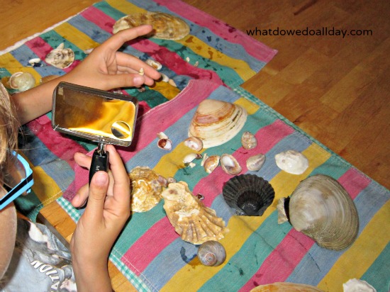 Shells and magnifying glass kid activity