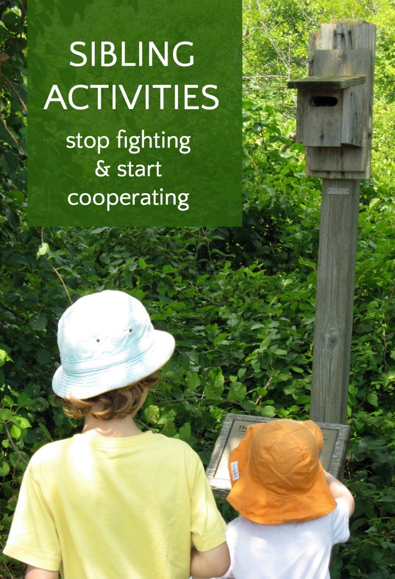 Sibling activities to stop fighting and promote cooperation