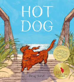 Hot Dog summer picture book