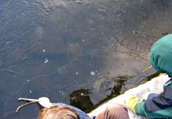 Playing outdoors with thin ice at the park