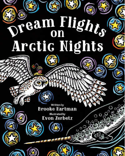 dream flights rhyming book with owl in flight on cover