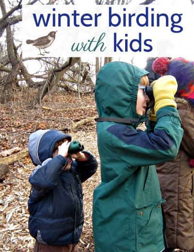 Get outside in the winter! Tips from a parent for winter birding with kids.