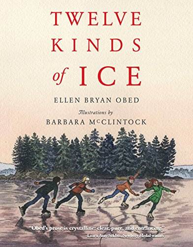 12 kinds of ice book cover